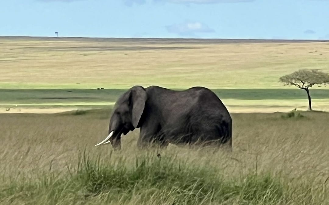 Adventure & Culture (& so much fun!) in Uganda & Kenya