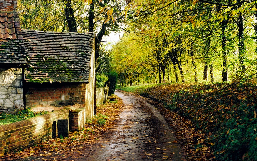 England Travel Guide